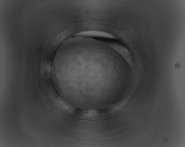 X0000091540288200708311338