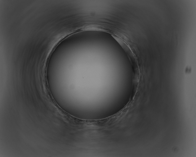 X0000091540289200708311338