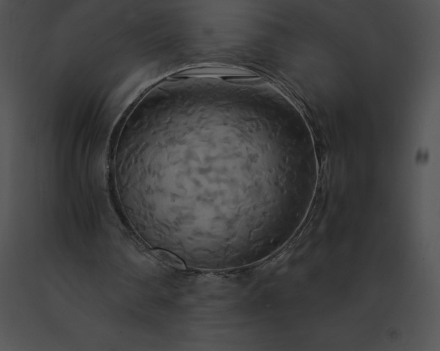 X0000091540290200708311338
