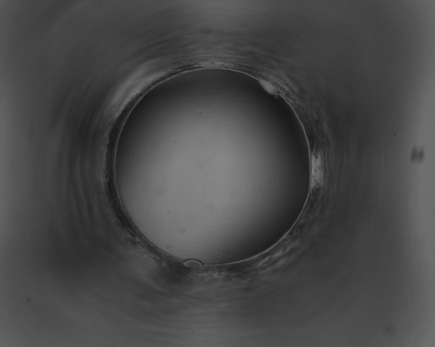 X0000091540291200708311338