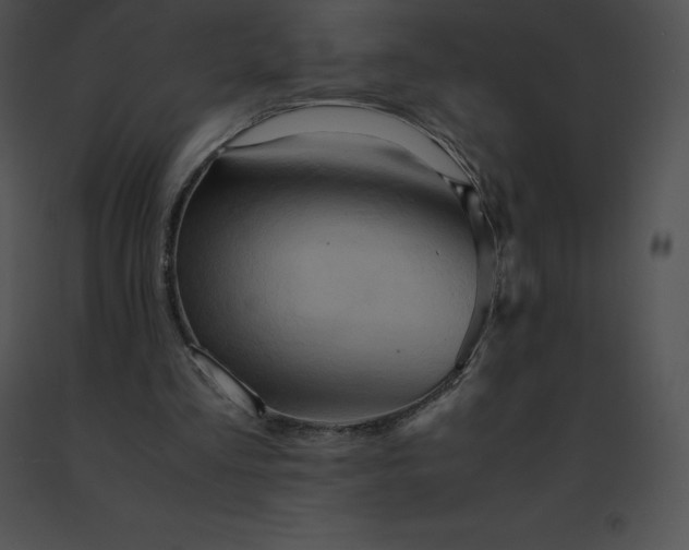 X0000091540293200708311338