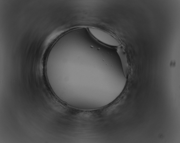 X0000091540294200708311338