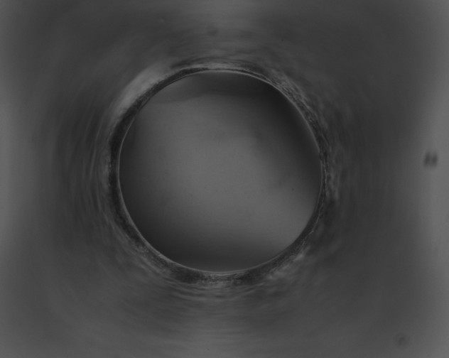 X0000091540295200708311338