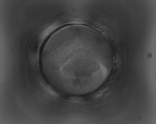 X0000091540296200708311338
