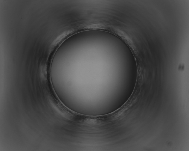 X0000091540298200708311338