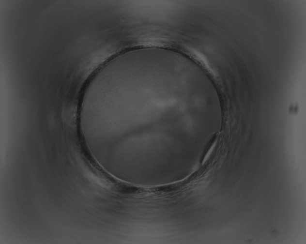 X0000091540299200708311338