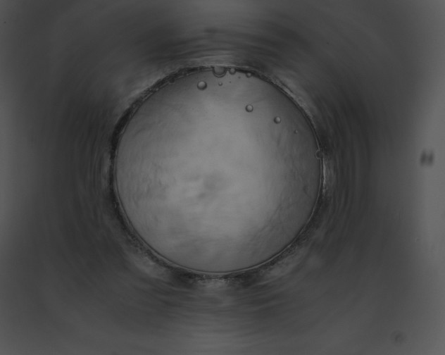 X0000091540301200708311338