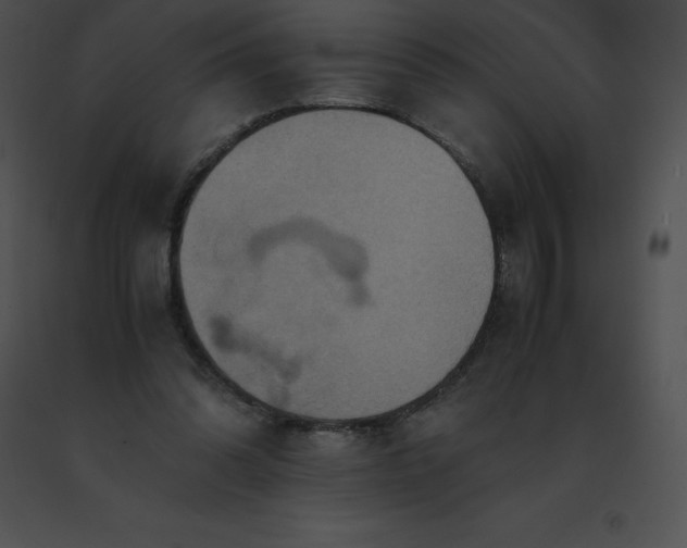 X0000091540302200708311338