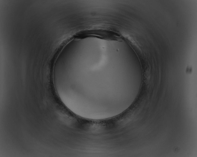 X0000091540303200708311338
