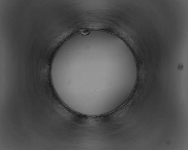 X0000091540305200708311337