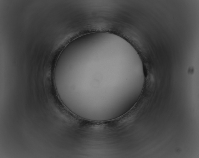X0000091540306200708311337