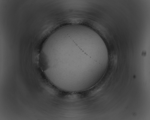 X0000091540307200708311337