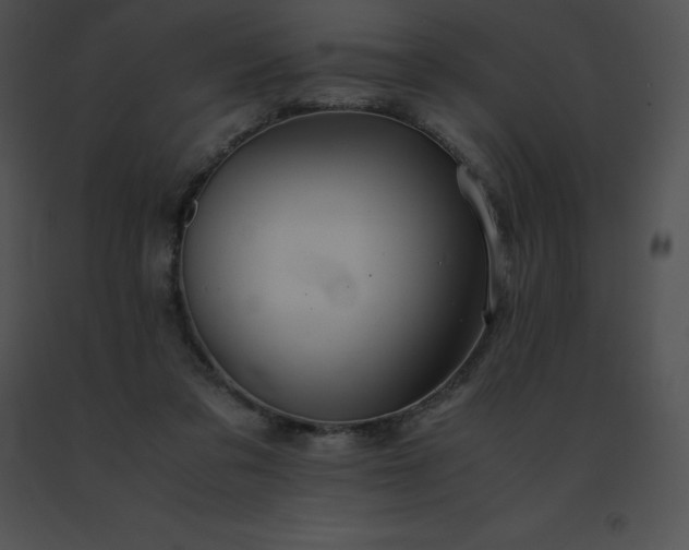 X0000091540309200708311337