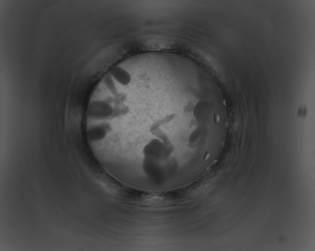 X0000091540315200708311337