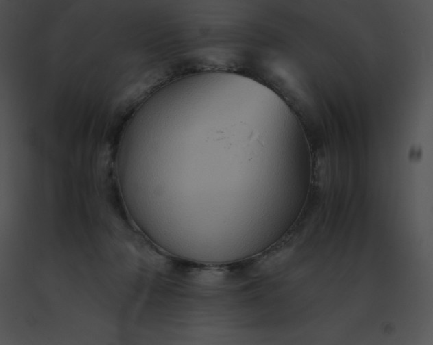X0000091540318200708311337