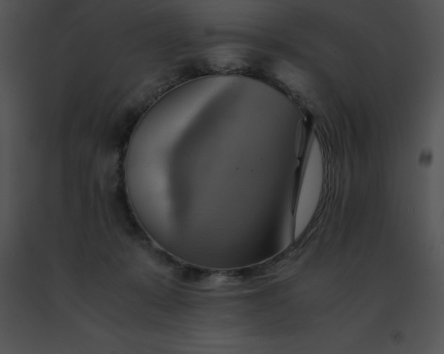 X0000091540319200708311337