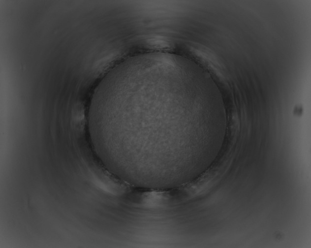 X0000091540320200708311337