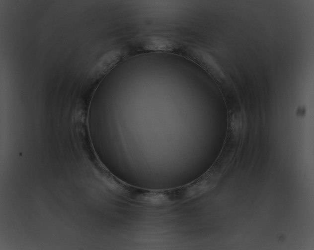 X0000091540322200708311337