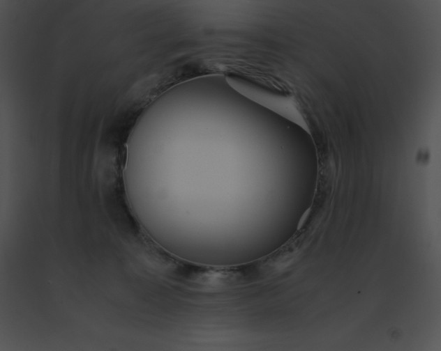 X0000091540323200708311337