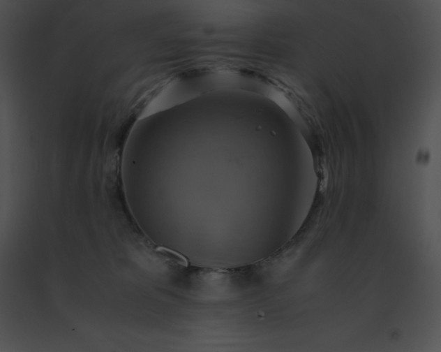 X0000091540325200708311337