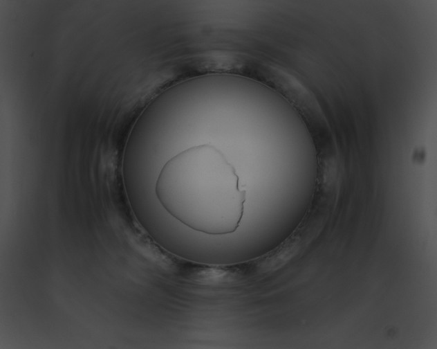 X0000091540326200708311337