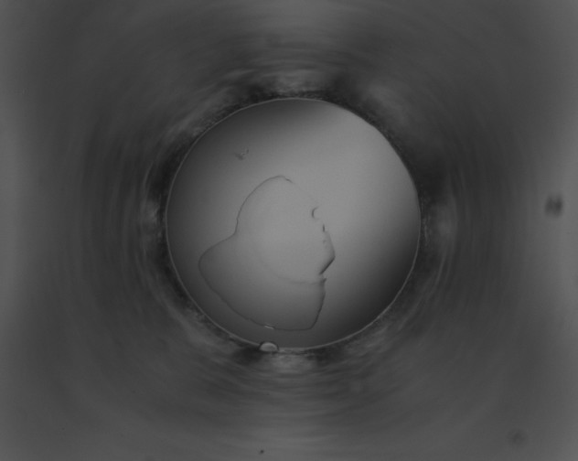 X0000091540327200708311337