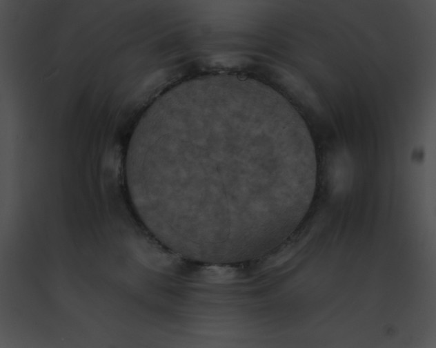 X0000091540328200708311337