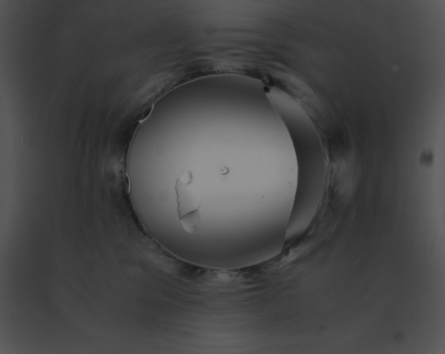X0000091540329200708311337