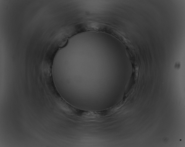 X0000091540331200708311337