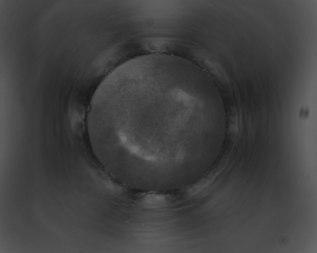 X0000091540332200708311337