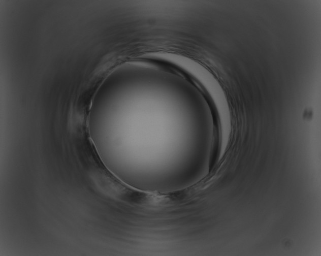 X0000091540333200708311337