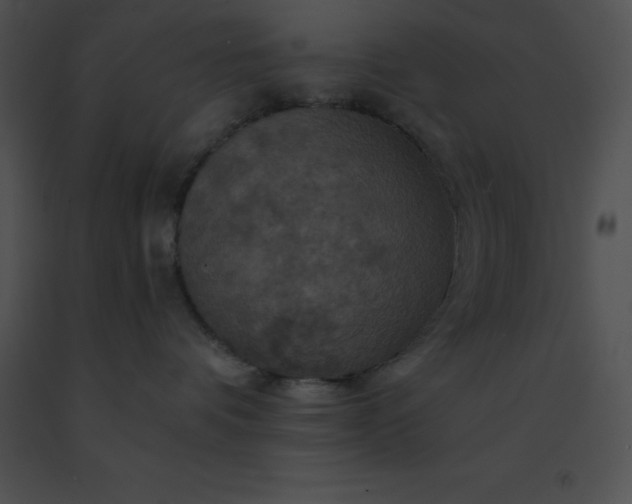 X0000091540336200708311337