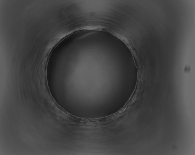 X0000091540337200708311336