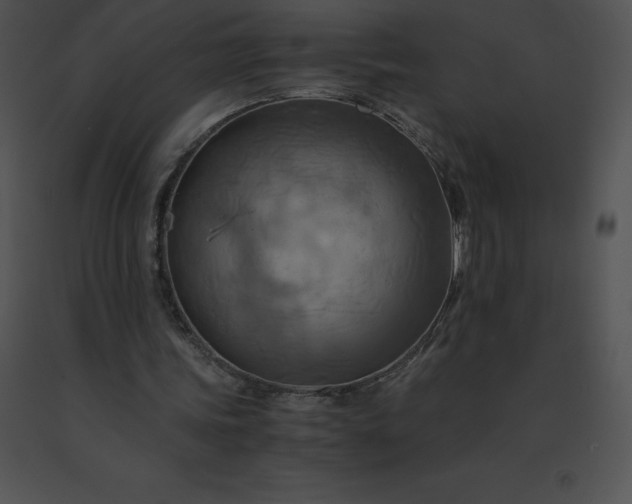 X0000091540339200708311337