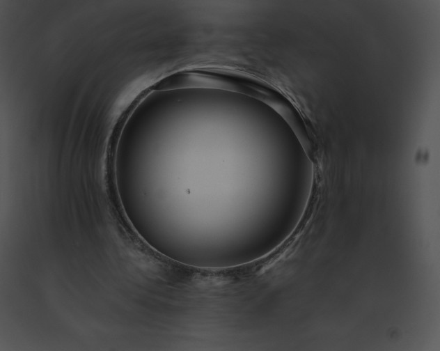 X0000091540340200708311337