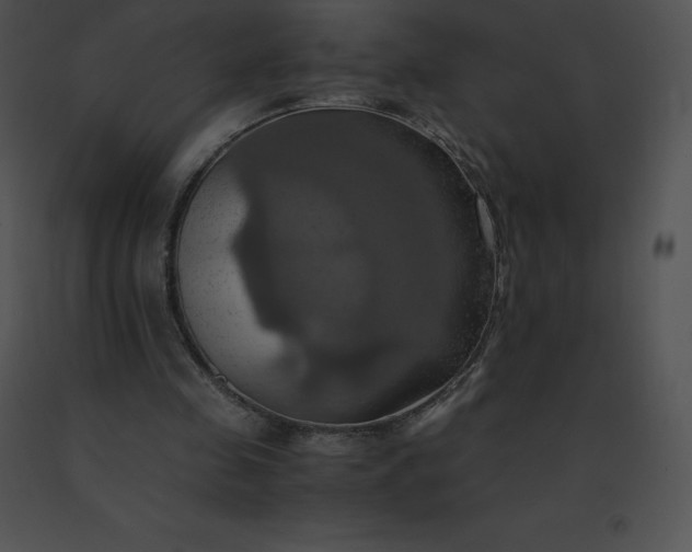 X0000091540341200708311337