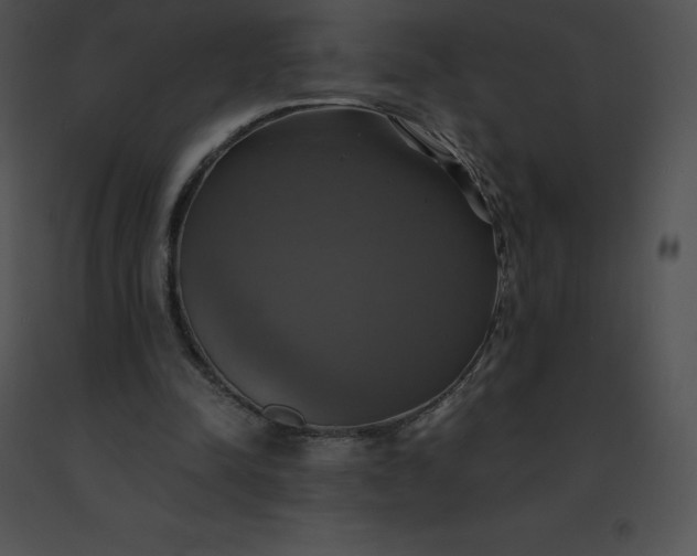 X0000091540342200708311337