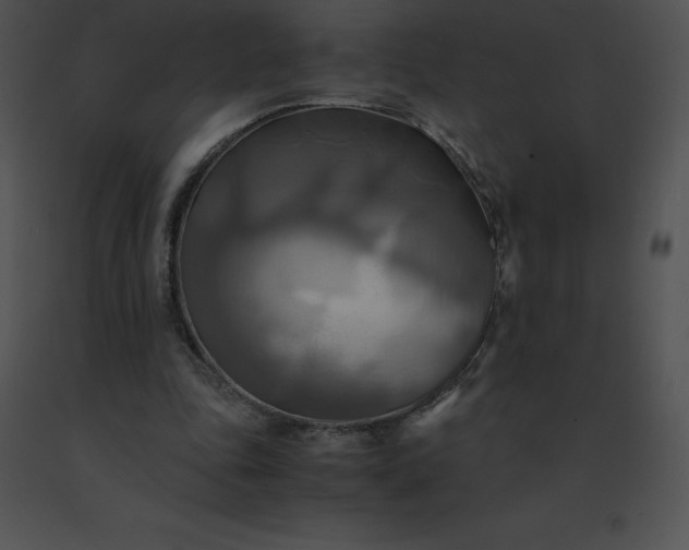 X0000091540343200708311337