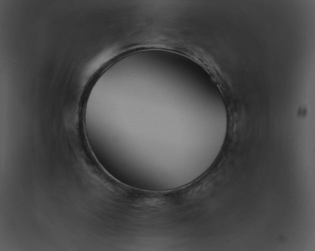 X0000091540344200708311337