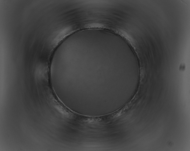 X0000091540345200708311337