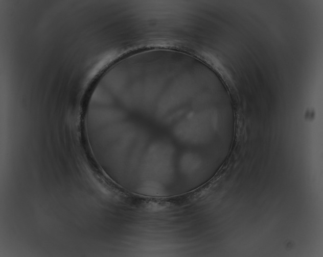 X0000091540346200708311337