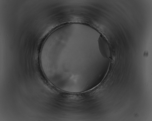 X0000091540347200708311337