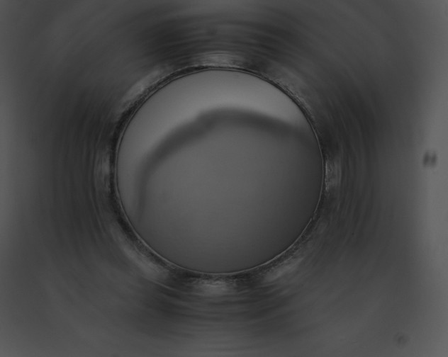 X0000091540349200708311337