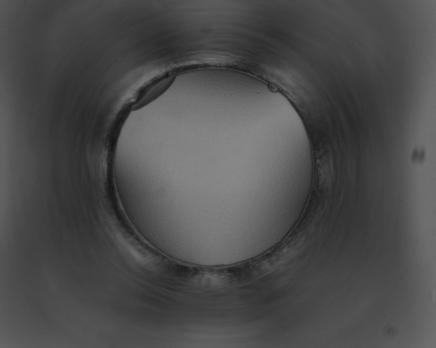 X0000091540350200708311337