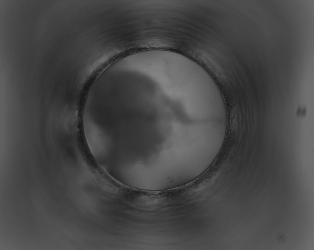 X0000091540351200708311337