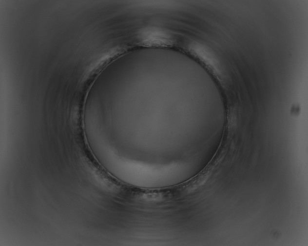 X0000091540353200708311337