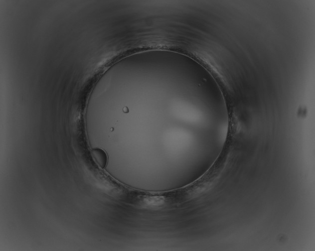 X0000091540355200708311337
