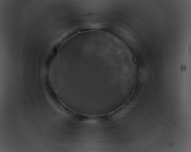 X0000091540358200708311337
