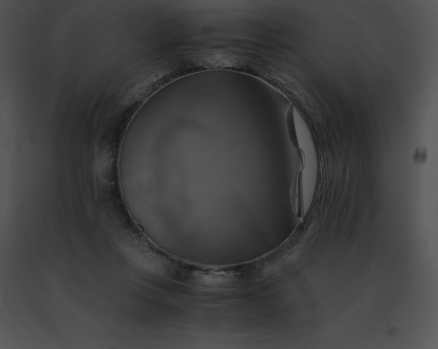 X0000091540359200708311337