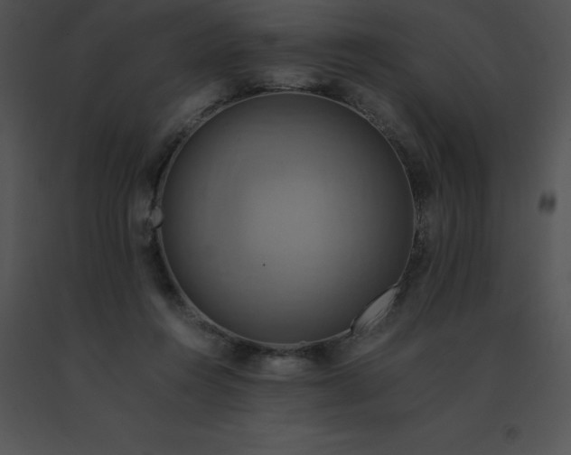 X0000091540360200708311337